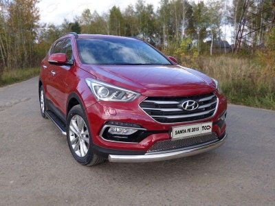 Защита передняя овальная длинная 75х42 мм ТСС для Hyundai Santa Fe 2015-2018