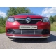 Рамка номерного знака Renault Logan (комплект) ТСС для Любые