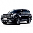 Коврики для GAC GS8