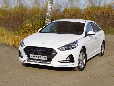 Накладка решётки радиатора нижняя 12 мм для Hyundai Sonata 2017-2019