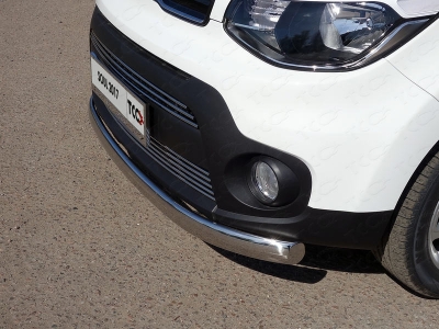 Накладка решётки радиатора нижняя 12 мм ТСС для Kia Soul 2016-2021