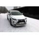 Защита передняя овальная 75х42 мм ТСС для Lexus RX-200t/350/450h 2015-2021
