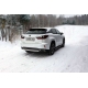 Защита заднего бампера овальная овал 75х42 мм ТСС для Lexus RX-200t/350/450h 2015-2021