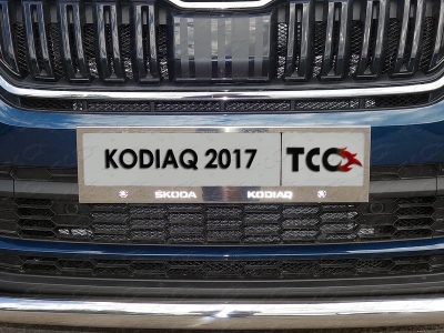 Рамка номерного знака 2 штуки ТСС для Skoda Kodiaq 2018-2021