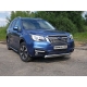 Накладка решётки радиатора нижняя 12 мм ТСС для Subaru Forester 2016-2018