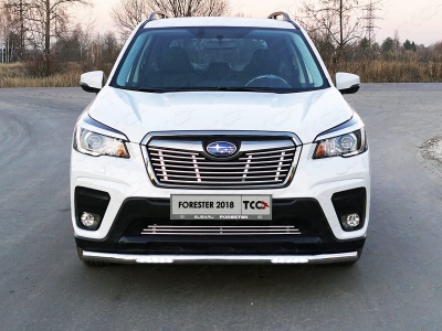 Решётка радиатора нижняя 12 мм ТСС для Subaru Forester SK 2018-2021