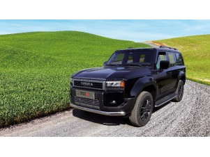 Защита передняя нижняя (овальная) 75х42 мм для Toyota Land Cruiser 250 Prado 2024-н.в. №TOYLC25024-12