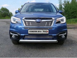 Защита передняя овальная короткая 75х42 мм для Subaru Forester № SUBFOR16-24